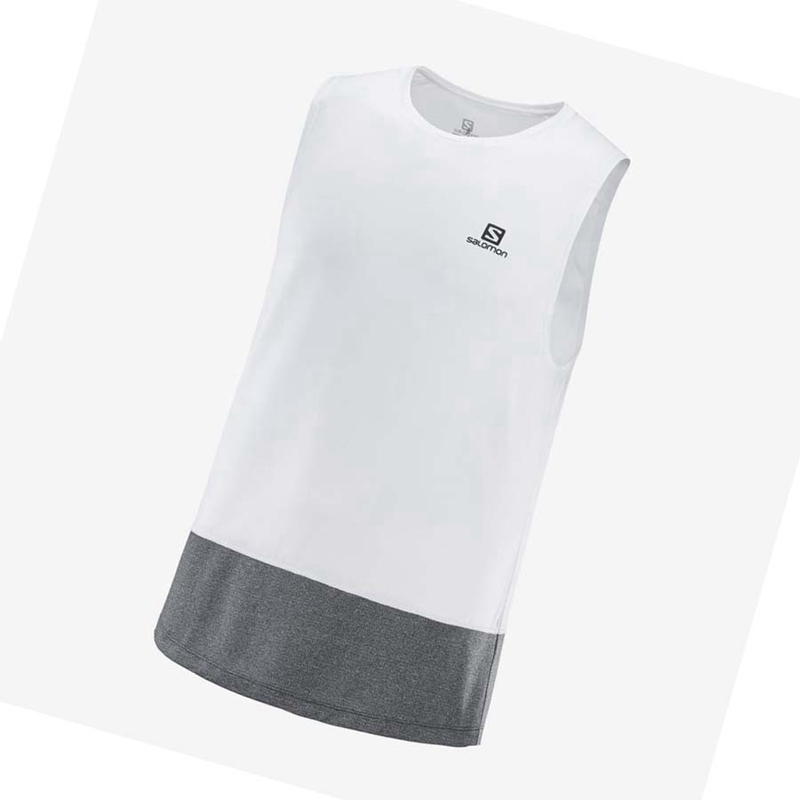 Camiseta Salomon CROSS RUN Hombre Blancas | 18602-DLZO