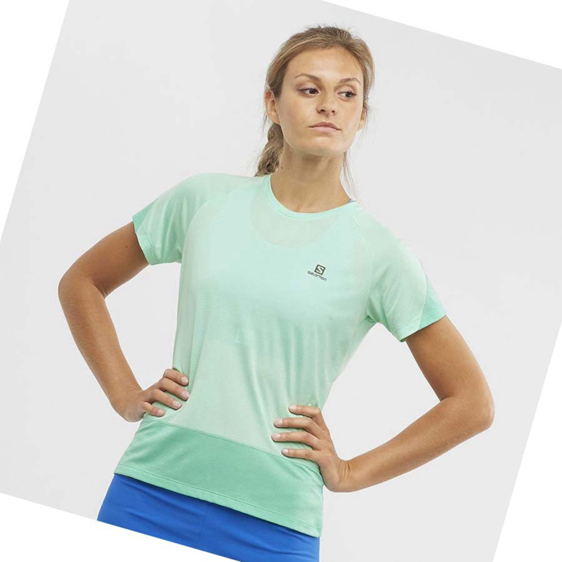 Camiseta Salomon CROSS RUN Mujer Verde | 13840-EBOC