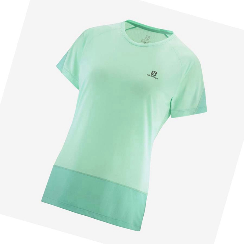 Camiseta Salomon CROSS RUN Mujer Verde | 13840-EBOC