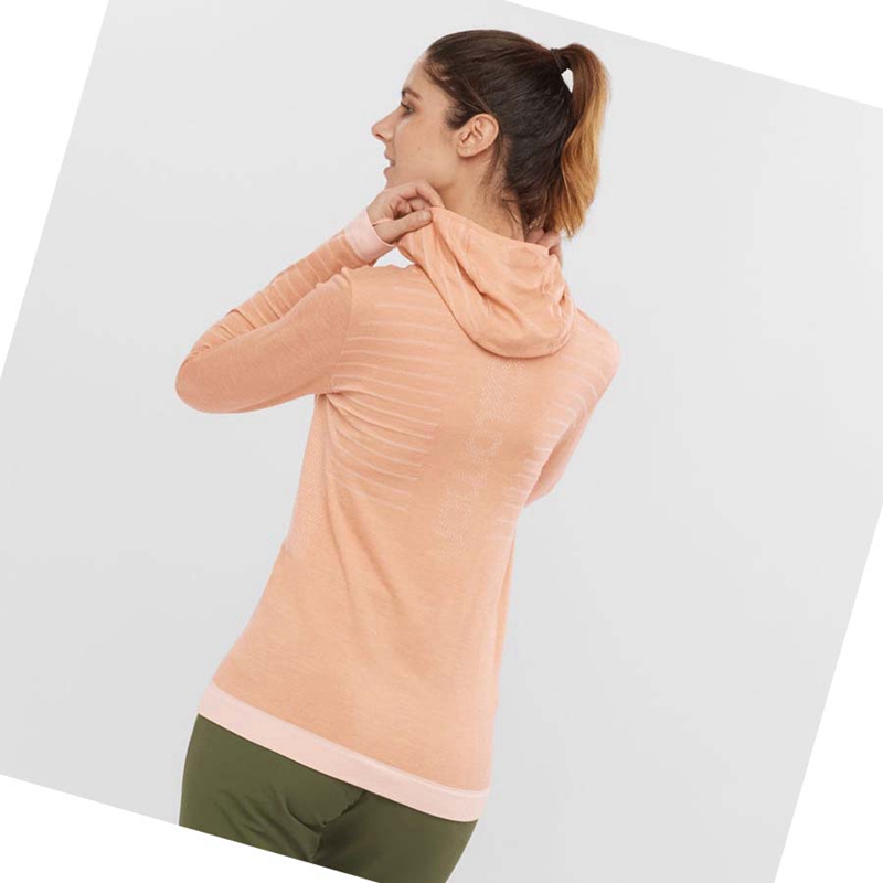 Camiseta Salomon ESSENTIAL WOOL Mujer Beige | 61207-XPBQ