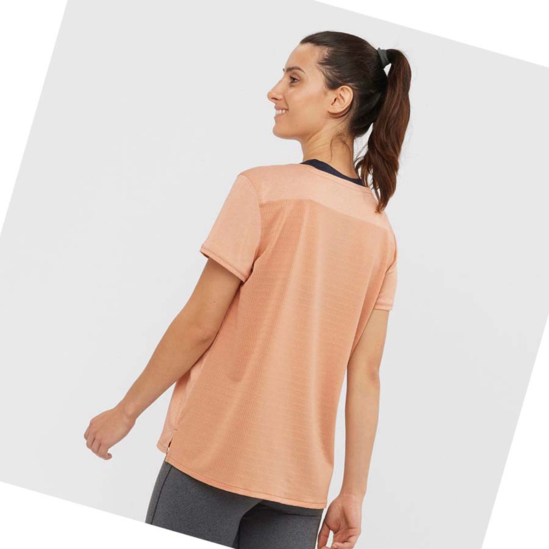 Camiseta Salomon OUTLINE SUMMER Mujer Beige | 09154-IYLE