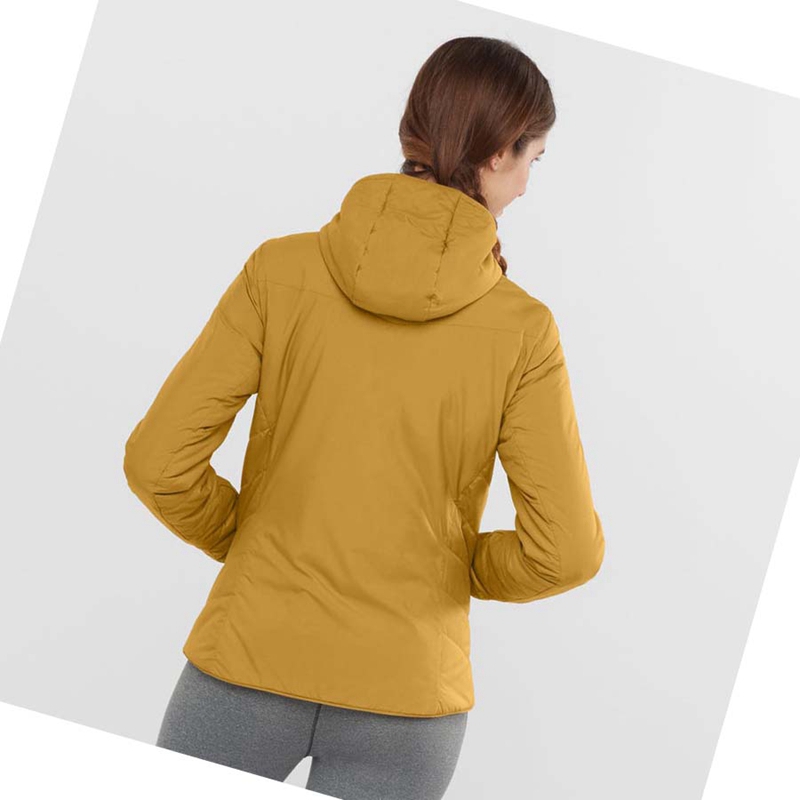 Chaquetas Salomon OUTRACK INSULATED Mujer Amarillo | 32175-QAVC