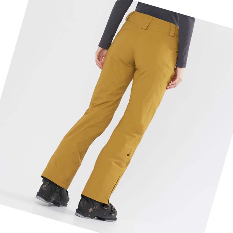 Pantalones De Esquí Salomon THE BRILLIANT Mujer Marrones | 86407-QLOA