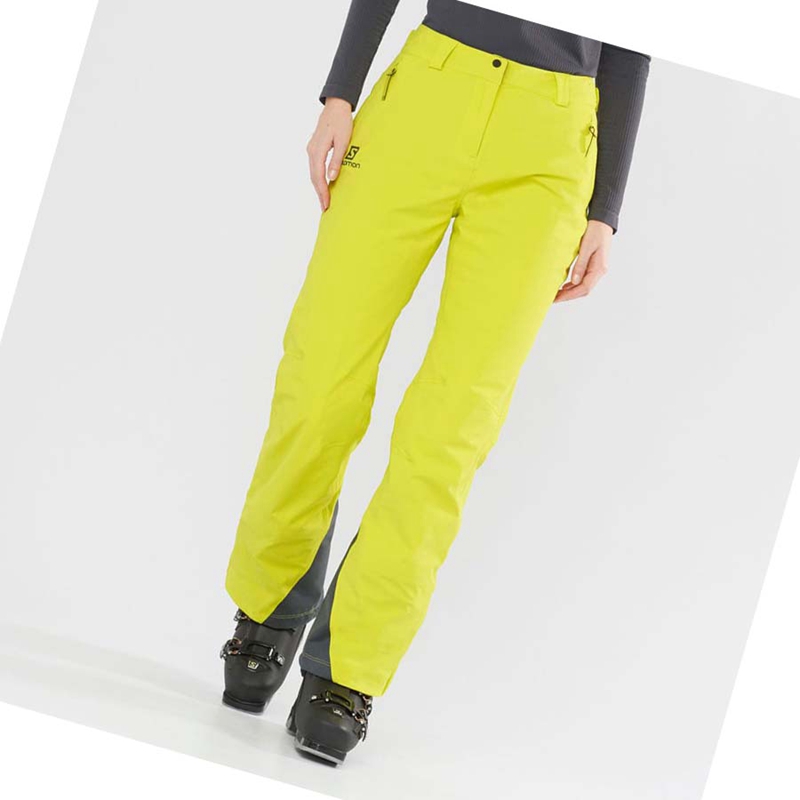 Pantalones De Esquí Salomon THE BRILLIANT Mujer Verde | 90863-IMZY