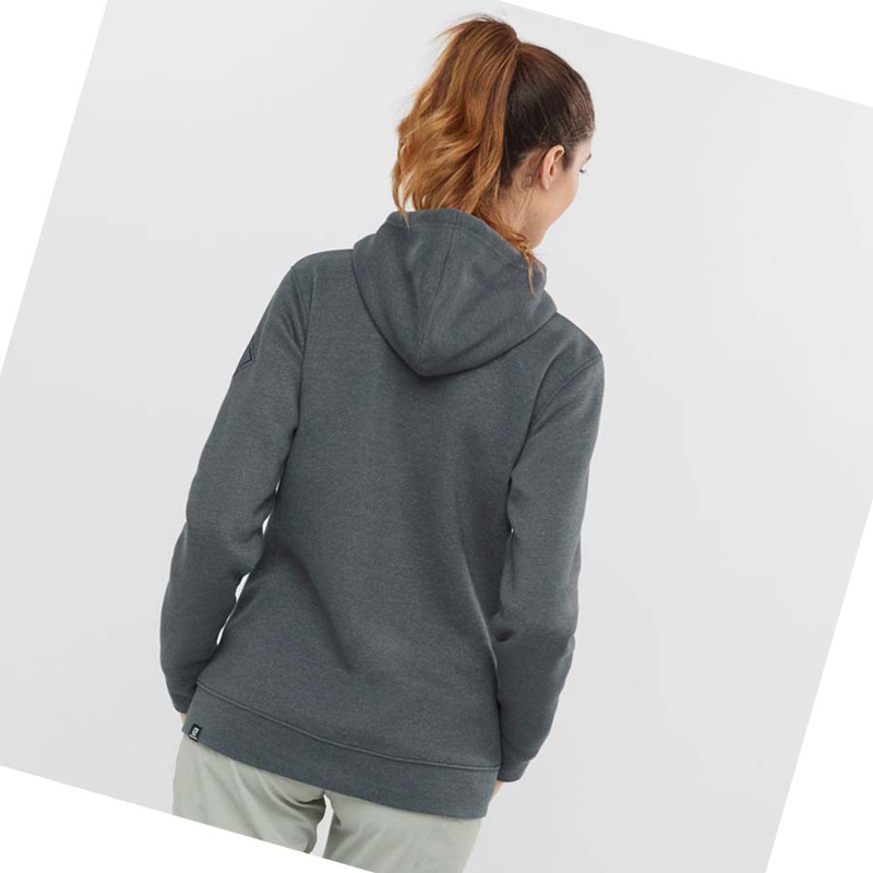 Sudadera Con Capucha Salomon ESSENTIAL WARM SALOMON Mujer Gris | 72619-XMTZ