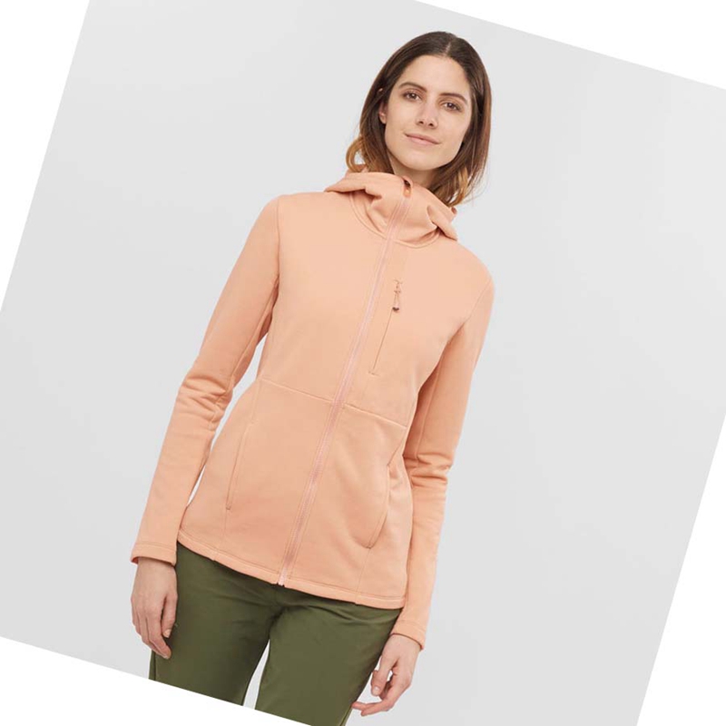 Sudadera Con Capucha Salomon ESSENTIAL XWARM Mujer Rosas | 98361-VEIQ