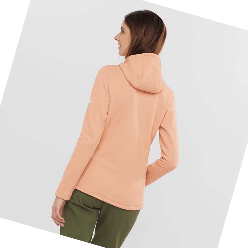 Sudadera Con Capucha Salomon ESSENTIAL XWARM Mujer Rosas | 98361-VEIQ