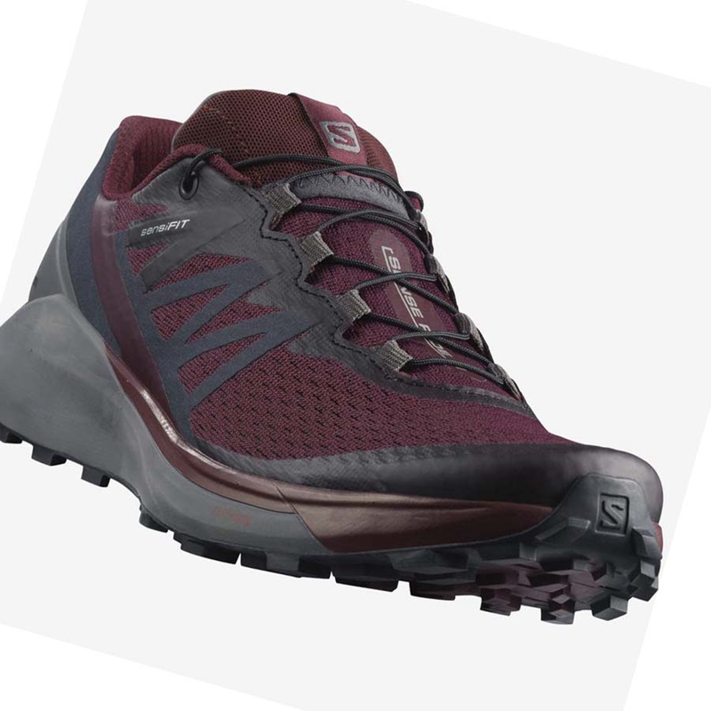 Zapatillas De Trail Running Salomon SENSE RIDE 4 Mujer Moradas | 14230-EMAF