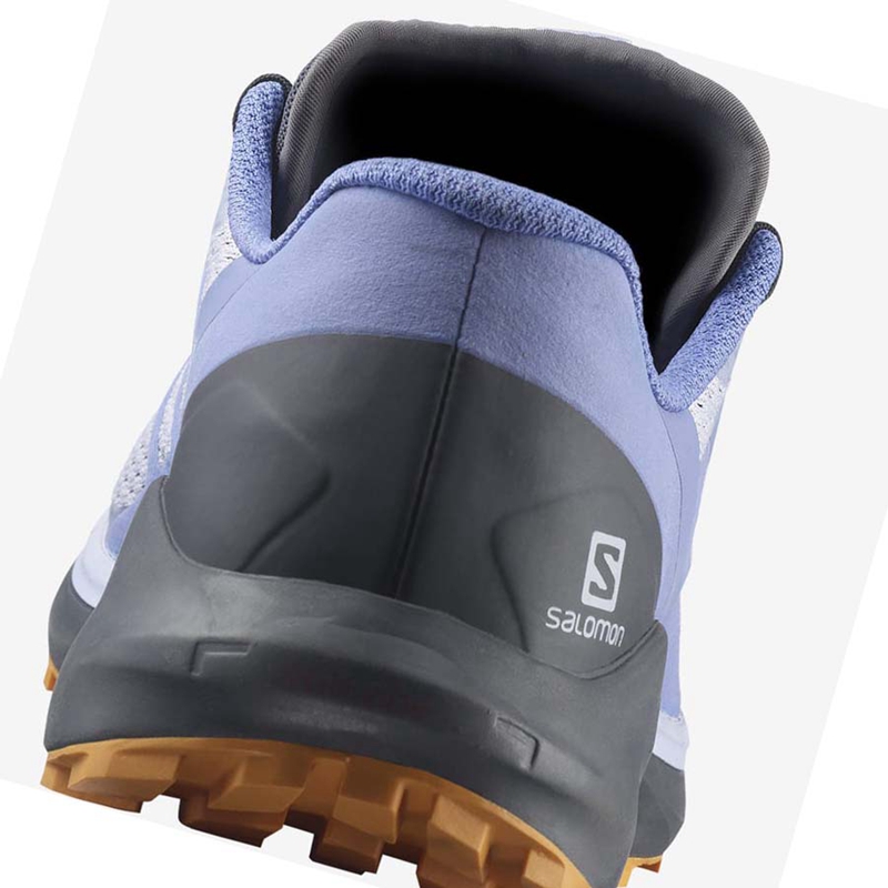 Zapatillas De Trail Running Salomon SENSE RIDE 4 Mujer Azules | 59273-NTPY