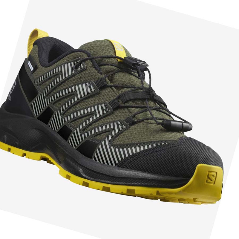 Zapatillas De Trail Running Salomon XA PRO V8 CLIMASALOMON™ WATERPROOF Niños Verde Oliva | 40569-HJFX