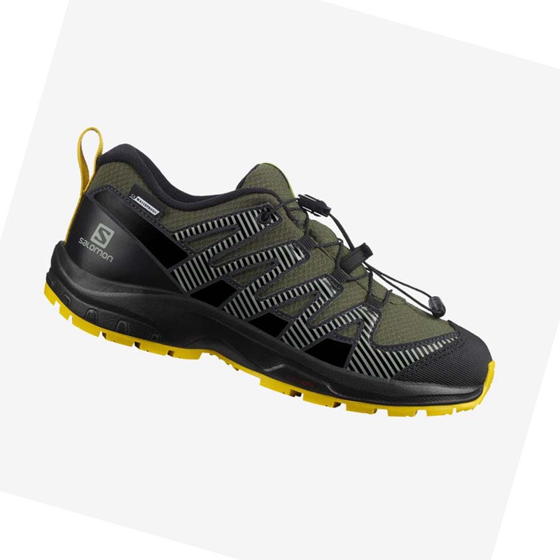 Zapatillas De Trail Running Salomon XA PRO V8 CLIMASALOMON™ WATERPROOF Niños Verde Oliva | 40569-HJFX