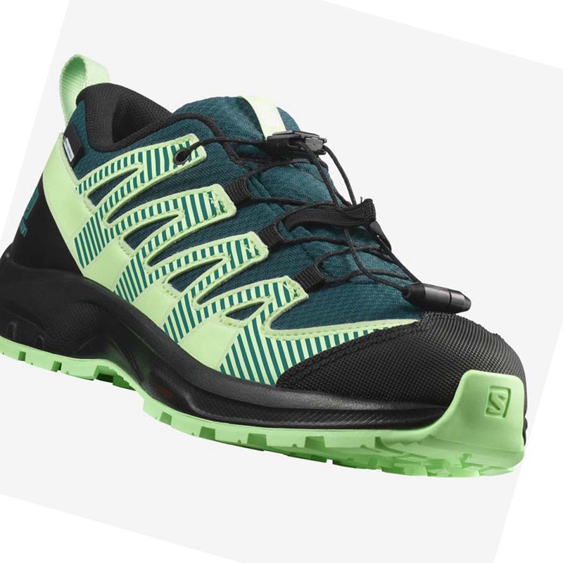 Zapatillas De Trail Running Salomon XA PRO V8 CLIMASALOMON™ WATERPROOF Niños Verde | 54392-XNPB