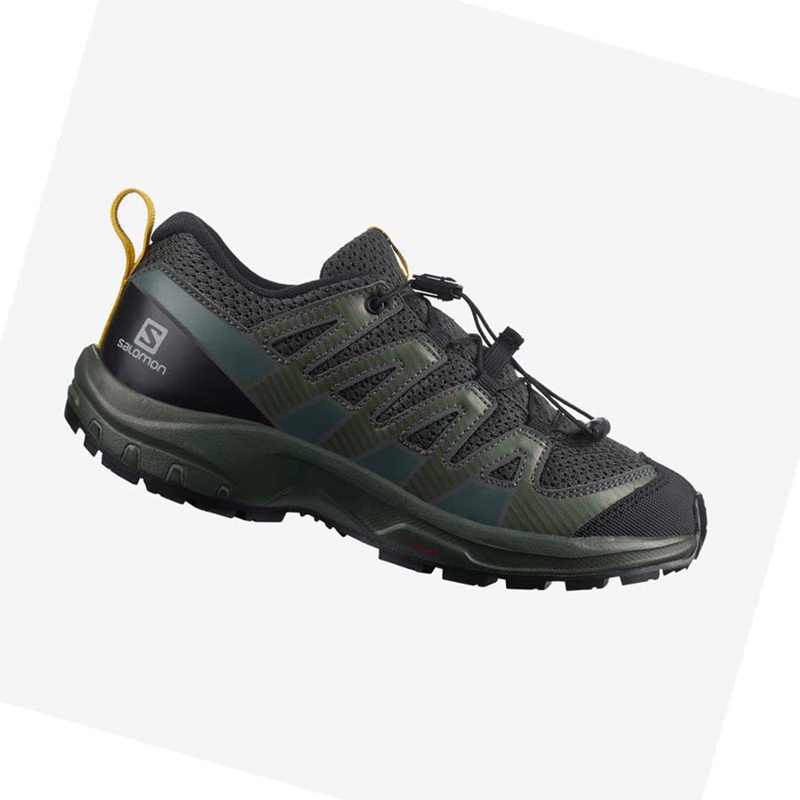 Zapatillas De Trail Running Salomon XA PRO V8 Niños Verde Oliva | 94621-WGJK