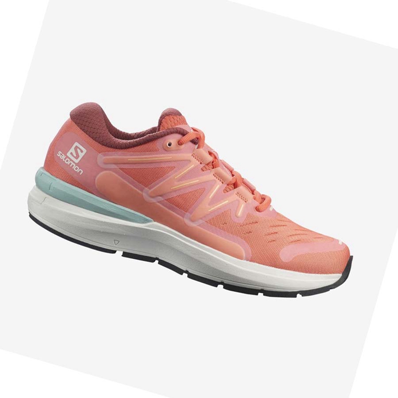 Zapatillas Running Salomon SONIC 4 Mujer Rosas | 28369-UKNS