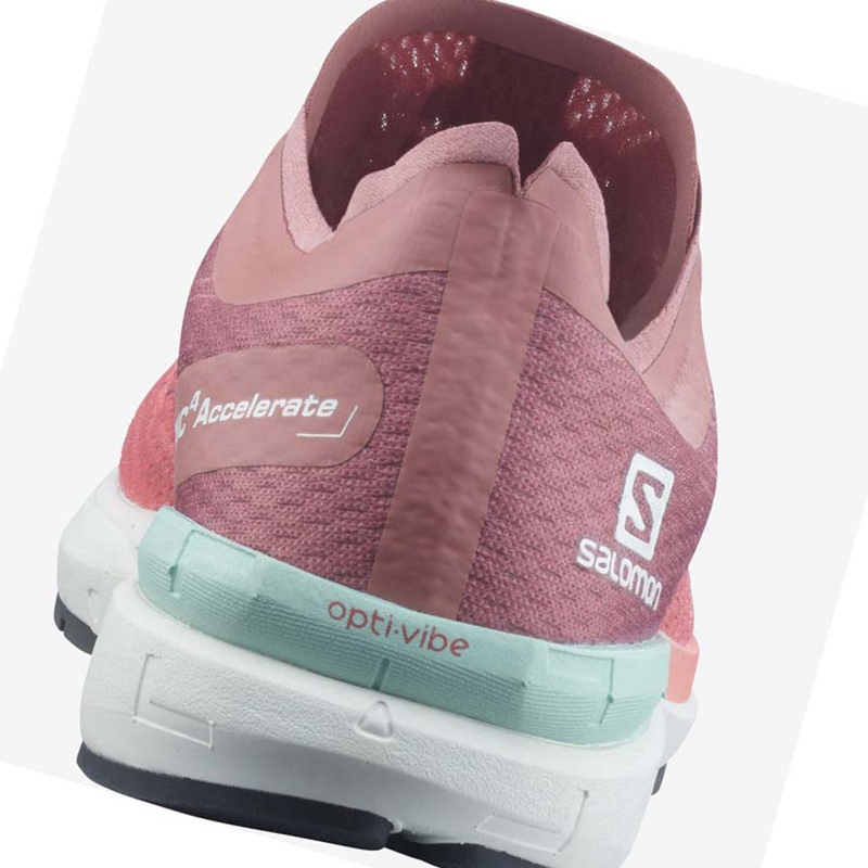 Zapatillas Running Salomon SONIC 4 Mujer Rosas | 72835-OMUJ