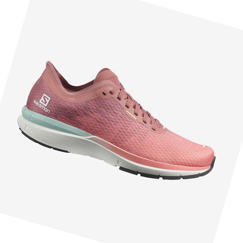 Zapatillas Running Salomon SONIC 4 Mujer Rosas | 72835-OMUJ