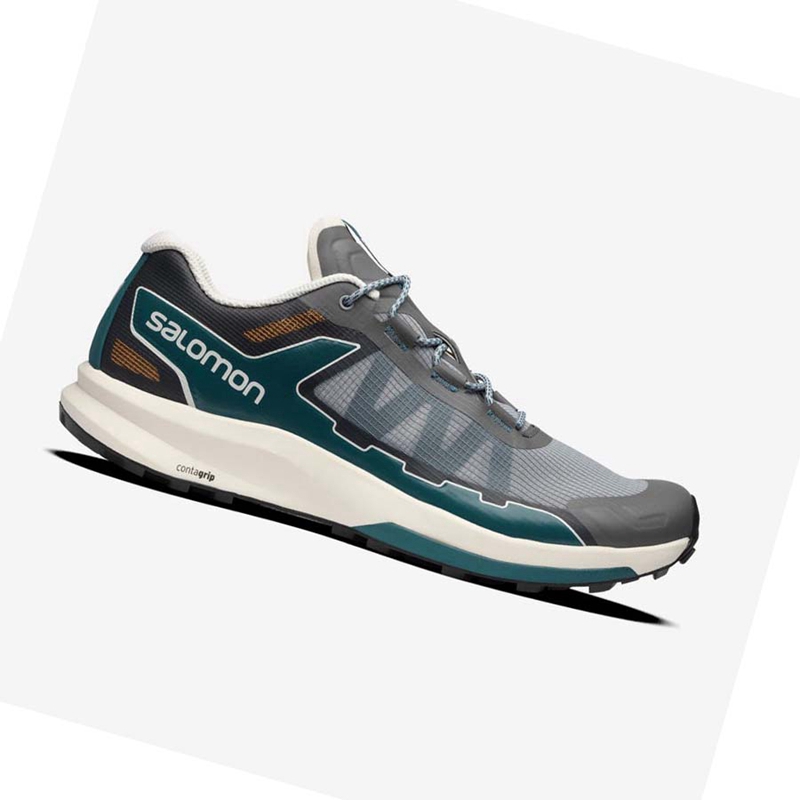 Zapatillas Salomon ULTRA RAID Hombre Gris | 83695-JRKX