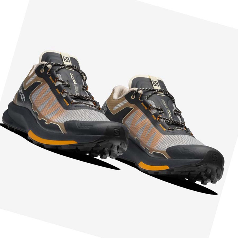 Zapatillas Salomon ULTRA RAID Hombre Marrones Plateadas | 47089-JAMT