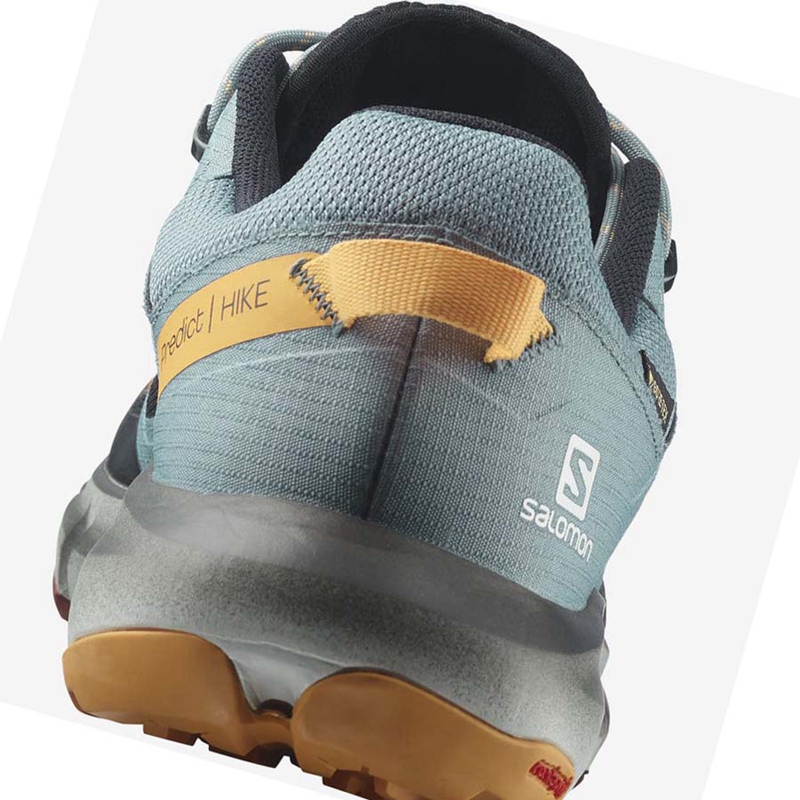 Zapatos De Senderismo Salomon PREDICT HIKE GORE-TEX Hombre Negras Naranjas | 26031-OFIL