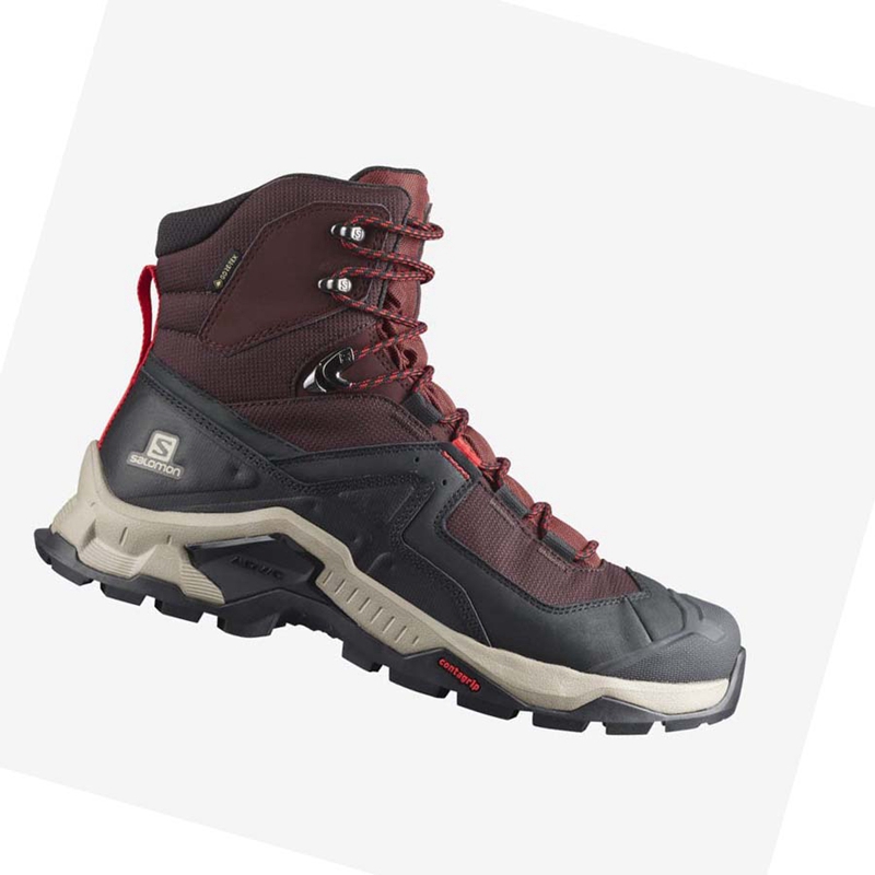 Zapatos De Senderismo Salomon QUEST ELEMENT GORE-TEX Hombre Gris Rojas | 74560-INGZ