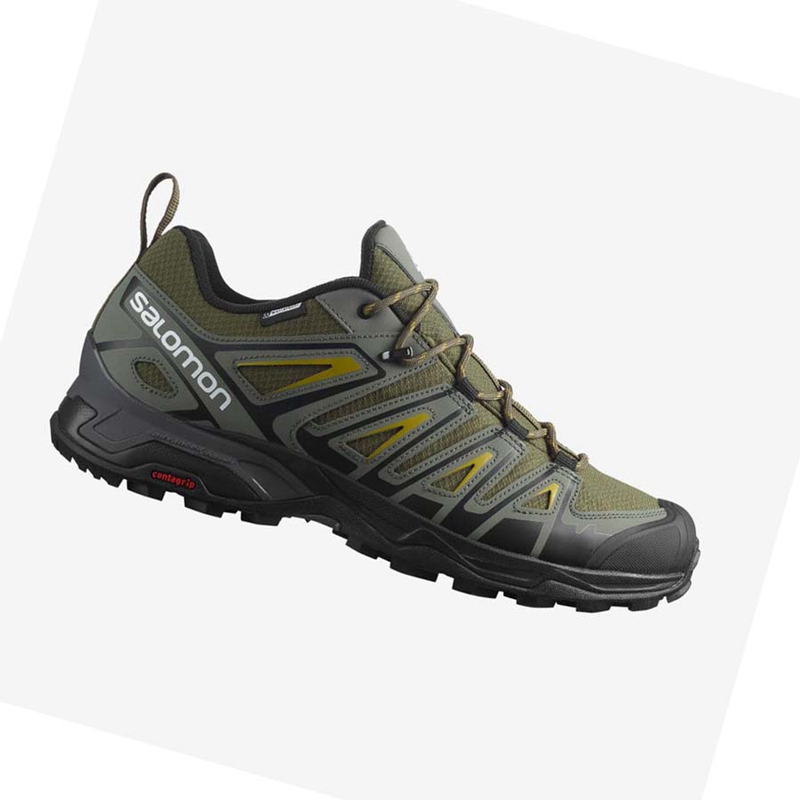 Zapatos De Senderismo Salomon X ULTRA PIONEER CLIMASALOMON™ WATERPROOF Hombre Verde Oliva Negras | 84576-NPAU