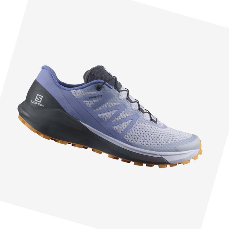 Zapatillas De Trail Running Salomon SENSE RIDE 4 Mujer Azules | 59273-NTPY