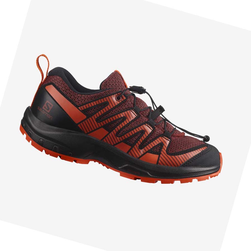 Zapatillas De Trail Running Salomon XA PRO V8 Niños Naranjas | 01964-BYLM