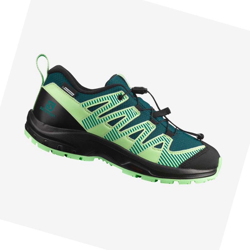 Zapatillas De Trail Running Salomon XA PRO V8 CLIMASALOMON™ WATERPROOF Niños Verde | 54392-XNPB