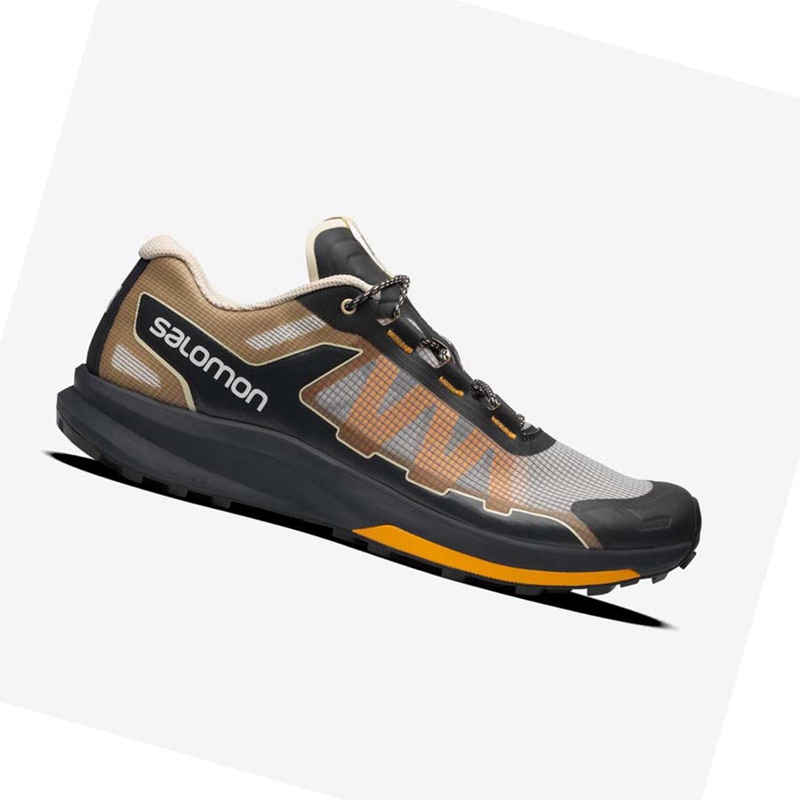 Zapatillas Salomon ULTRA RAID Hombre Marrones Plateadas | 47089-JAMT