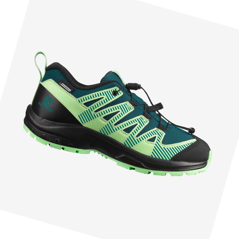 Zapatos De Senderismo Salomon XA PRO V8 CLIMASALOMON™ WATERPROOF Niños Verde | 38091-MJKS